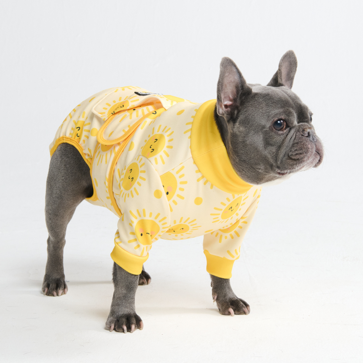 Dog Surgical Suit - Sunshine – SPARK PAWS
