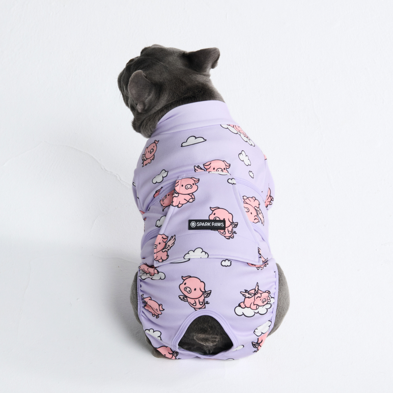 Dog Surgical Suit - When Pigs Fly – SPARK PAWS