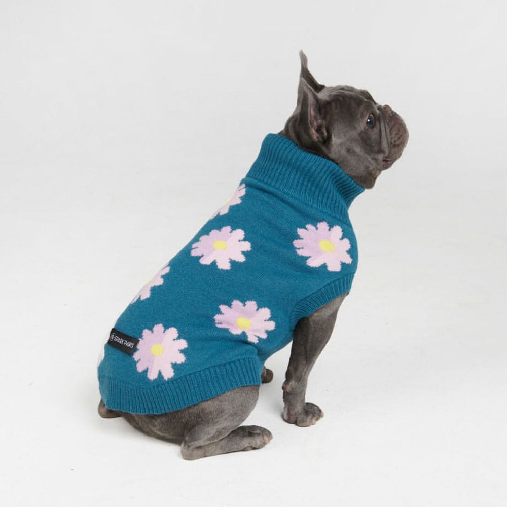 Knit Dog Sweater Prints – SPARK PAWS