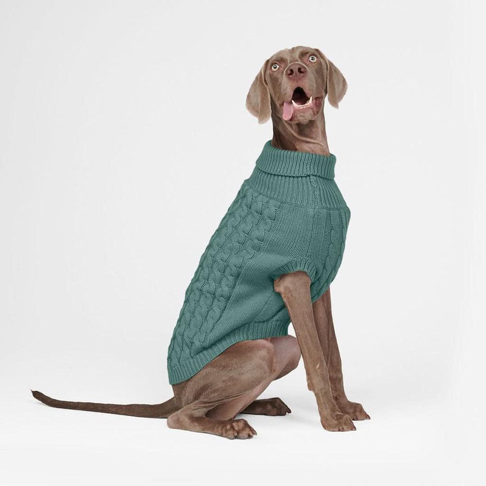 Cable Knit Dog Sweater