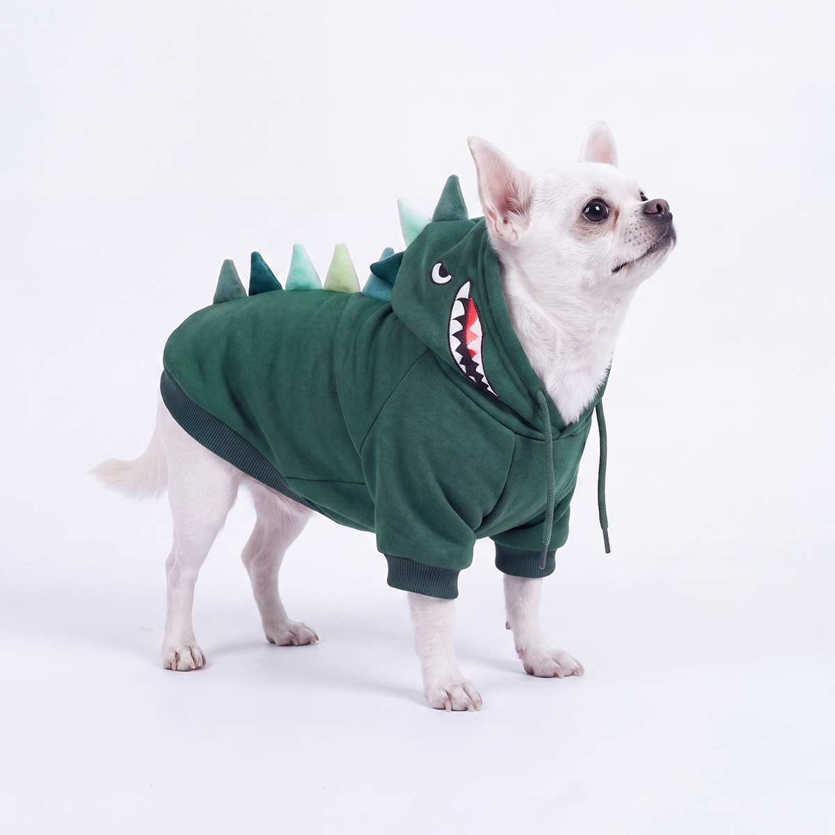 Halloween Dog & Human Matching Hoodie Set – Dinosaur – SPARK PAWS