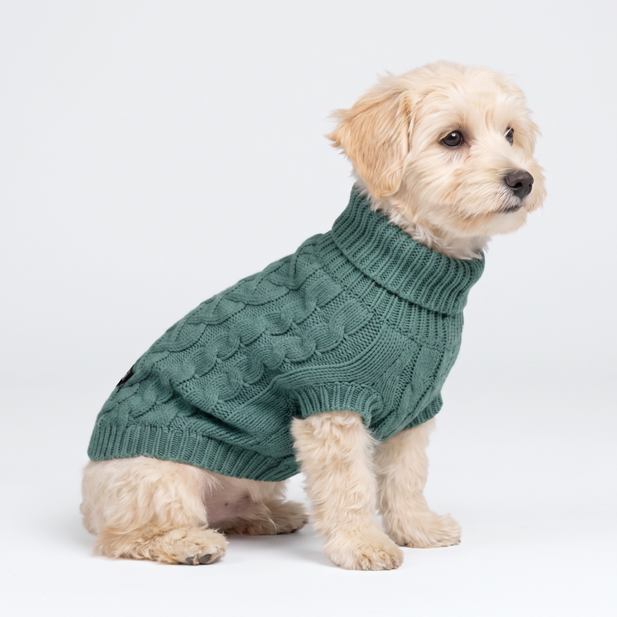Cable Knit Dog Sweater - Pine Green – SPARK PAWS