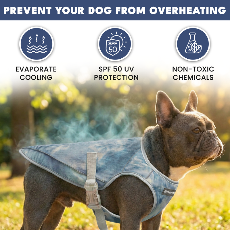Dog Cooling Vest - Ice Blue – SPARK PAWS