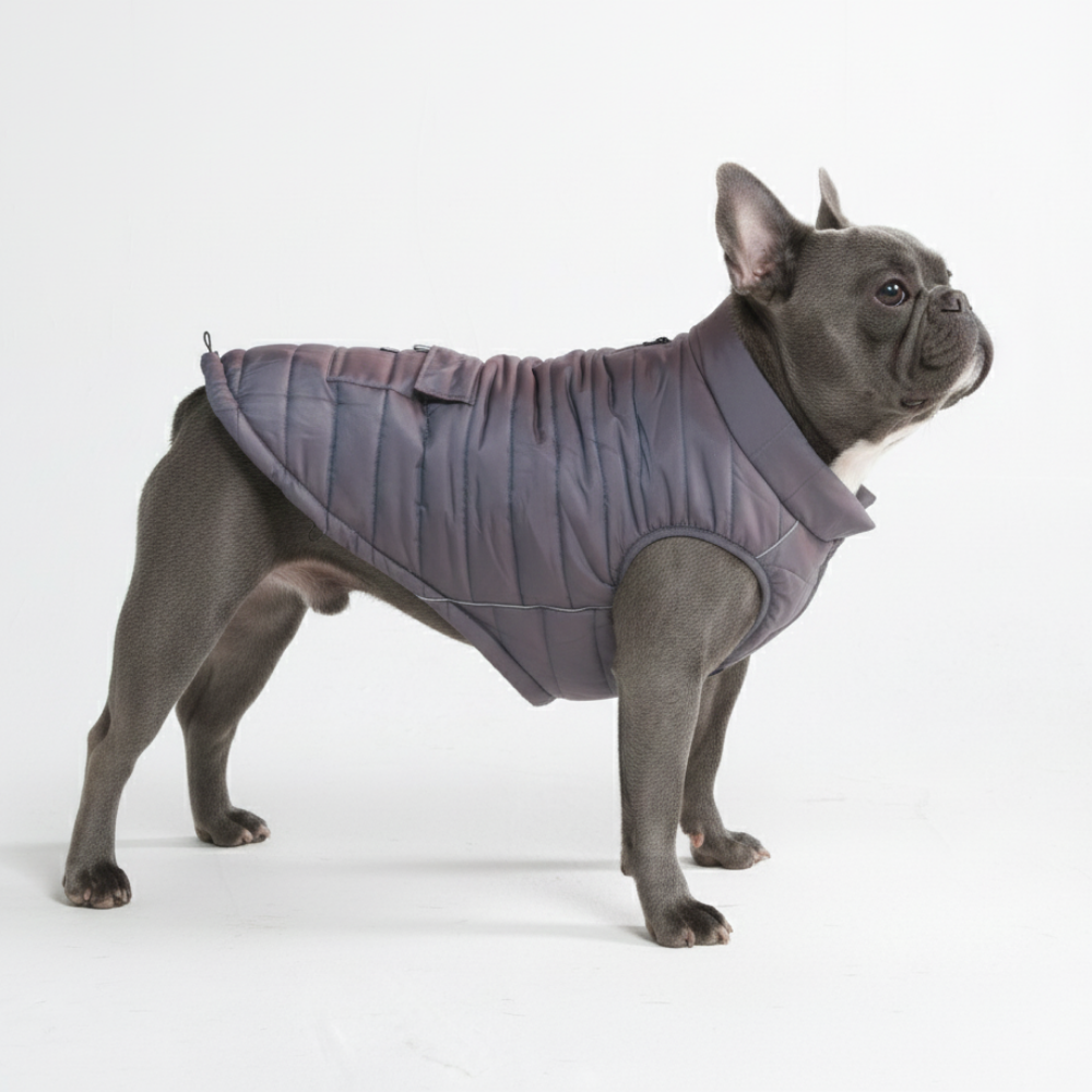Dog Winter Jacket Coat – SPARK PAWS