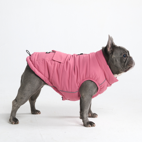 Winter Jacket Coats for Dogs | Premium Vests and More  SPARK PAWS