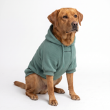Essential Teal Hoodie||size:4XL