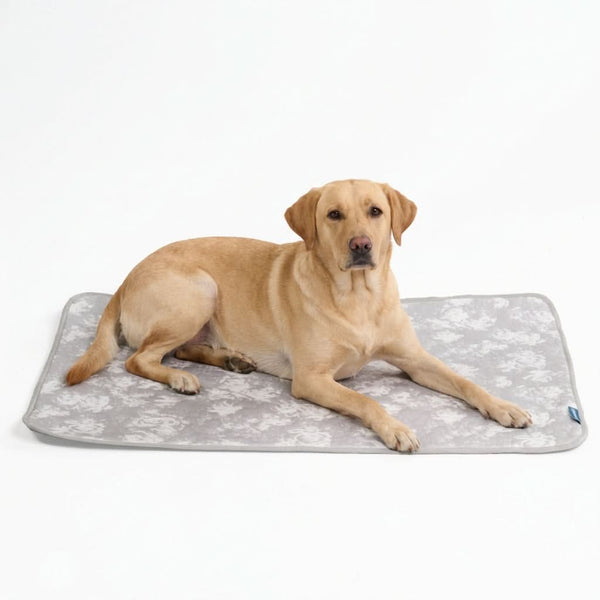 Frostcore™ Cooling Mat - Clouds Grey – SPARK PAWS