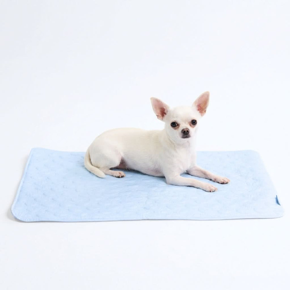cooling pad for dog stroller Frostcore Cooling Mat
