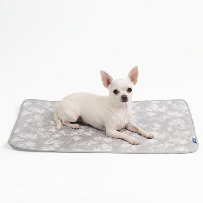 Frostcore™ Cooling Mat - Clouds Grey – SPARK PAWS