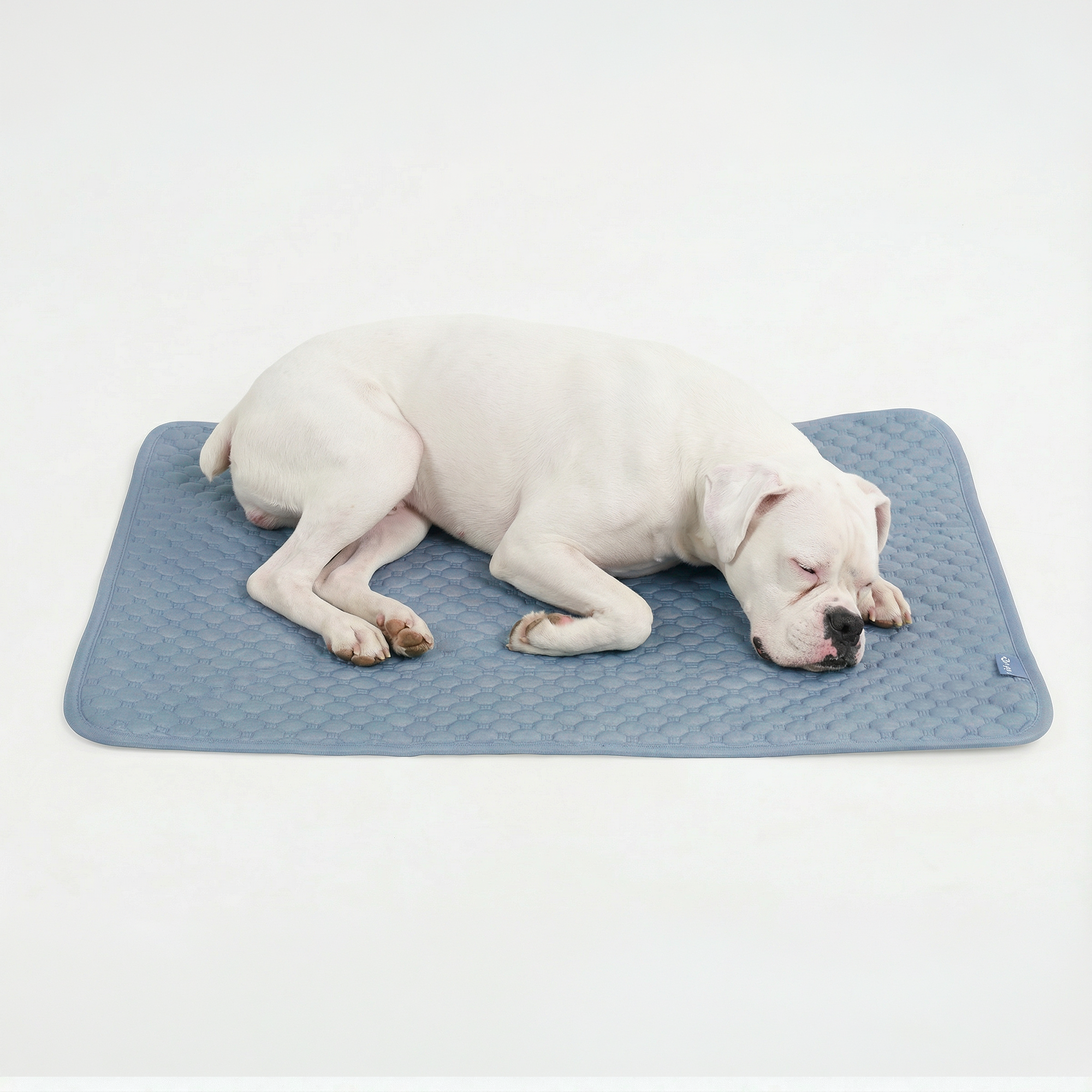 Frostcore™ Cooling Mat - Ash Blue – SPARK PAWS