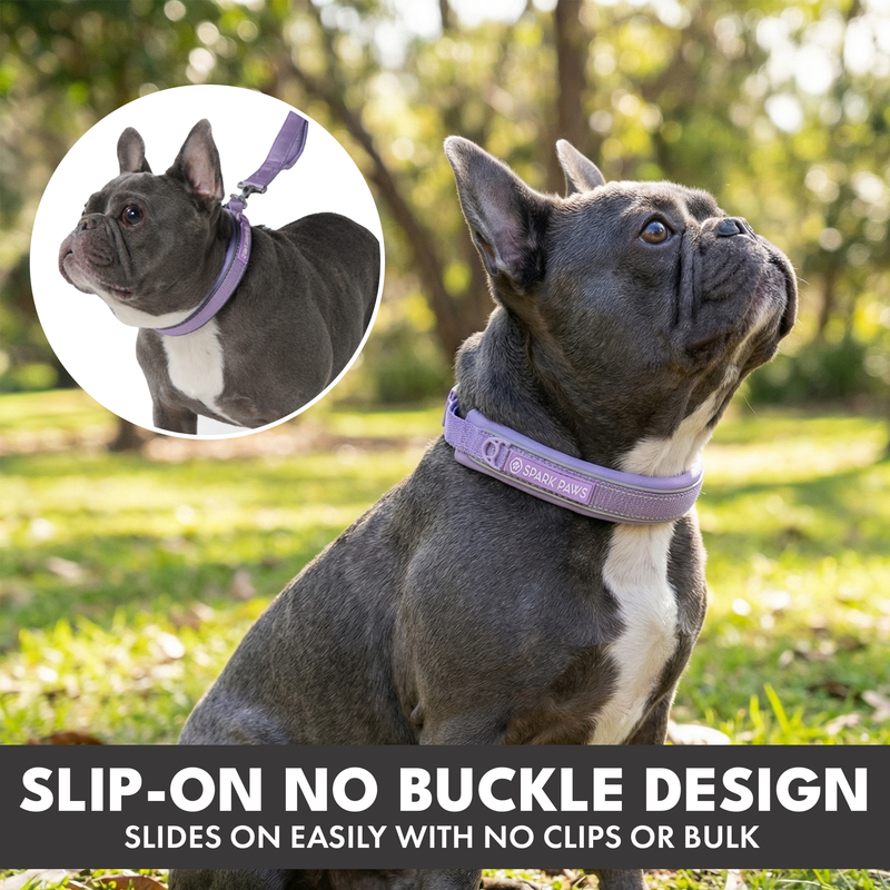 Martingale Collar and Multipurpose Leash Set - Lilac – SPARK PAWS