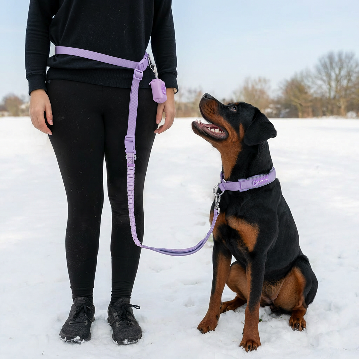 Martingale Collar and Multipurpose Leash Set - Lilac – SPARK PAWS