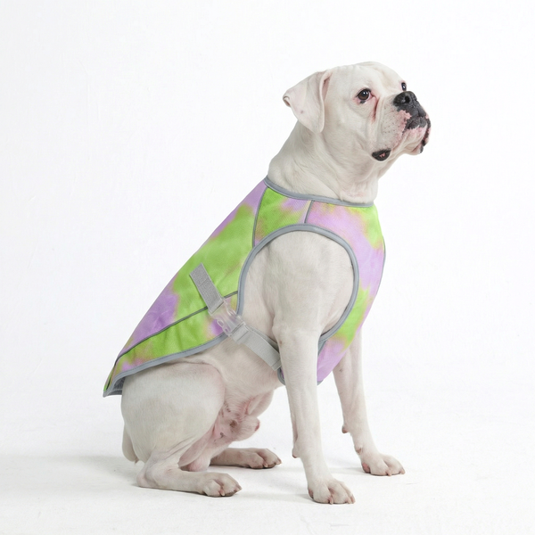 Dog Cooling Vest - Neon Purple – SPARK PAWS