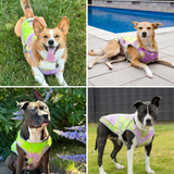 Neon Purple Cooling Vest||size:S,M,L,XL,2XL,3XL,4XL