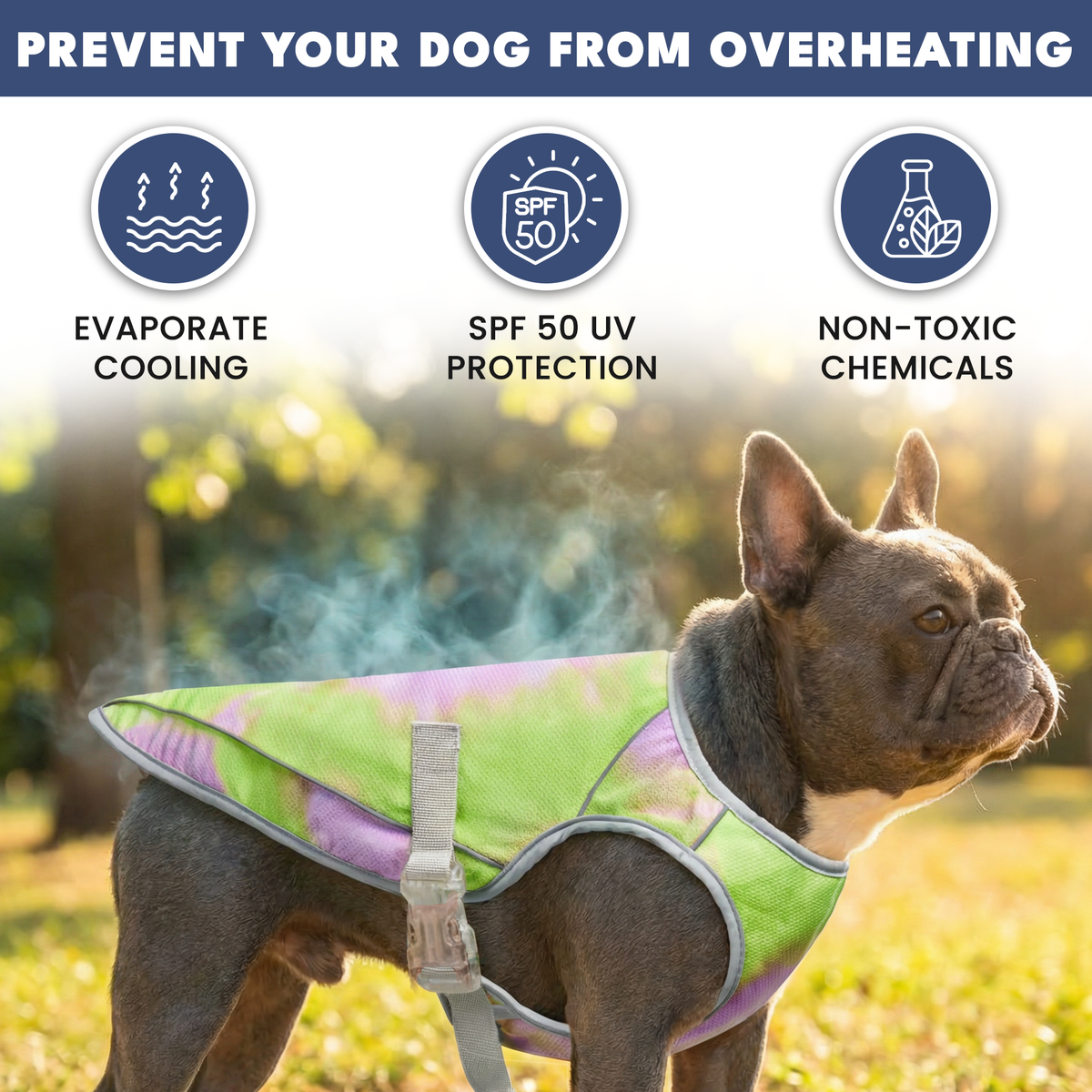 Dog Cooling Vest - Neon Purple – SPARK PAWS