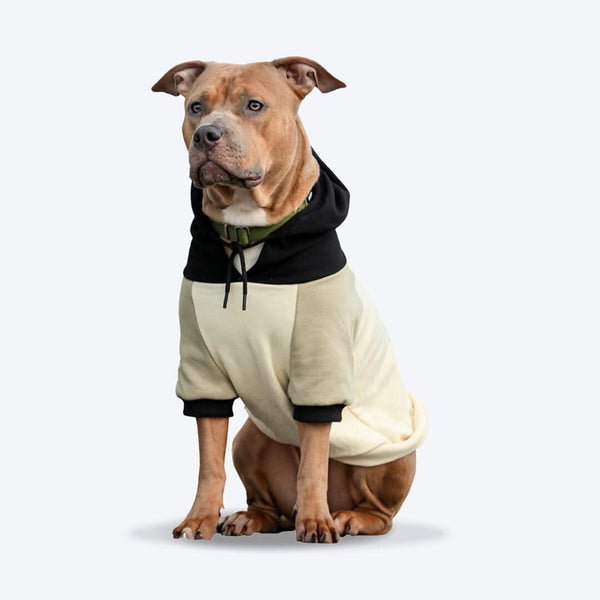 A Paw-some Holiday The Rise of the Christmas Dog Hoodie