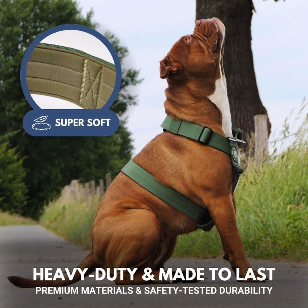 Arnés Para Perro Nobby Soft Grip - Talla 40-56 Cm, Luz Verde/marrón, Agarre Suave Y Fácil De Poner