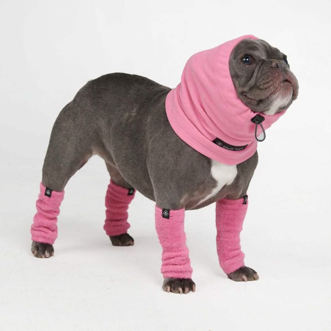 Anxiety Calming Dog Earmuff Protector SPARK PAWS