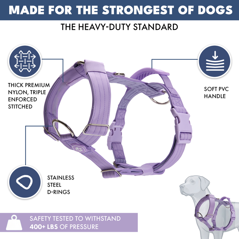Comfort Control™ No-Pull Dog Harness - Lilac – SPARK PAWS