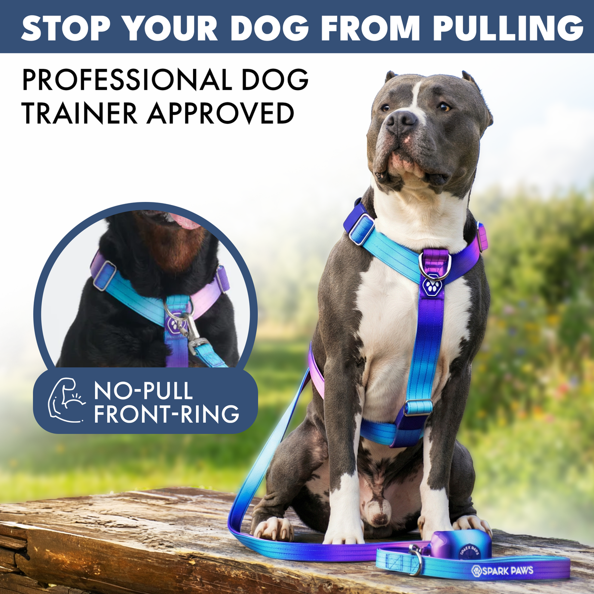 Comfort Control No-Pull Harness Sets – SPARK PAWS