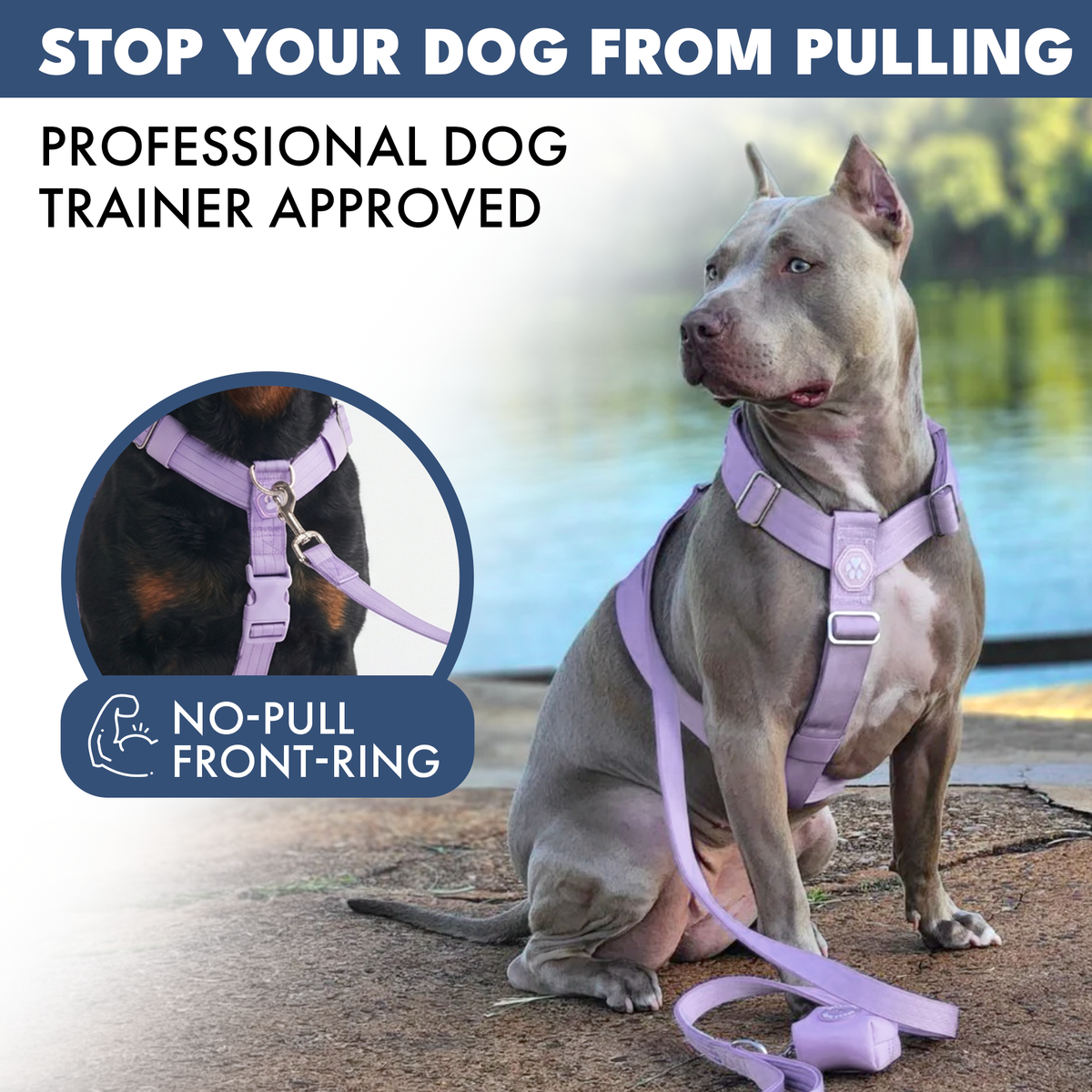 Dog Training Anti Pull Dog Lead Tactical Recon No Pull Dog Harness Heavy  Duty K9 Training