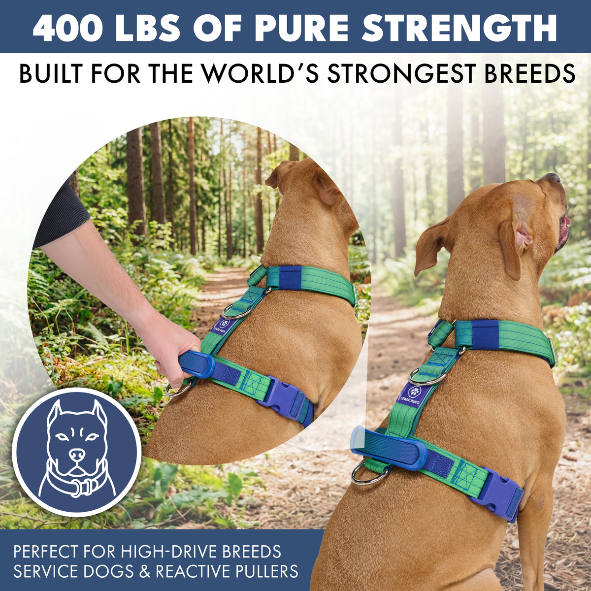 Comfort Control No-Pull Dog Harness - Lime Wave – SPARK PAWS