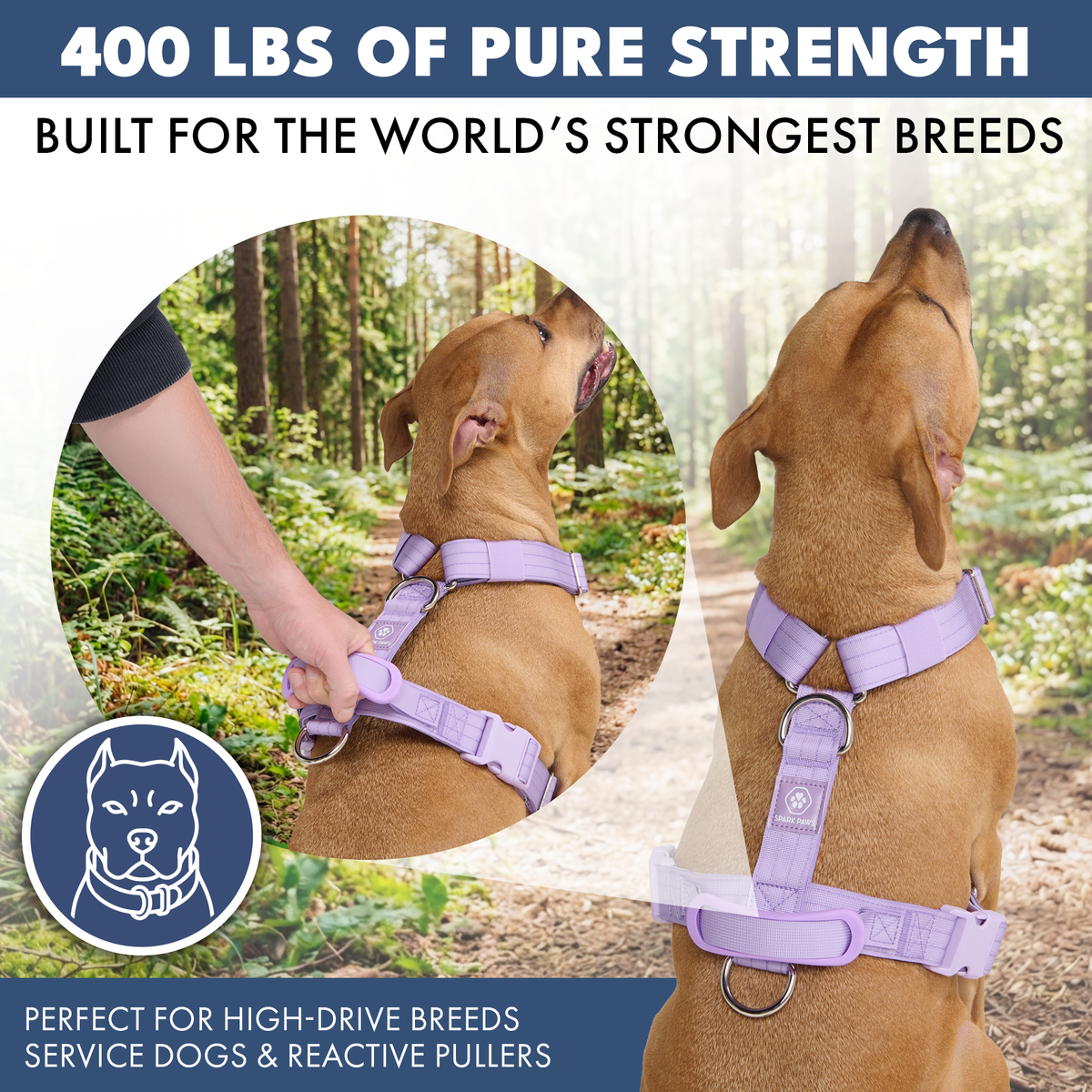 Comfort Control No-Pull Dog Harness Set - Lilac – SPARK PAWS