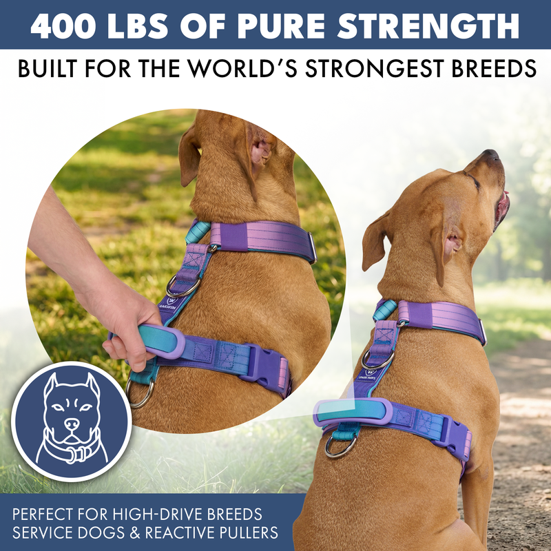 Comfort Control No-Pull Harness Sets – SPARK PAWS
