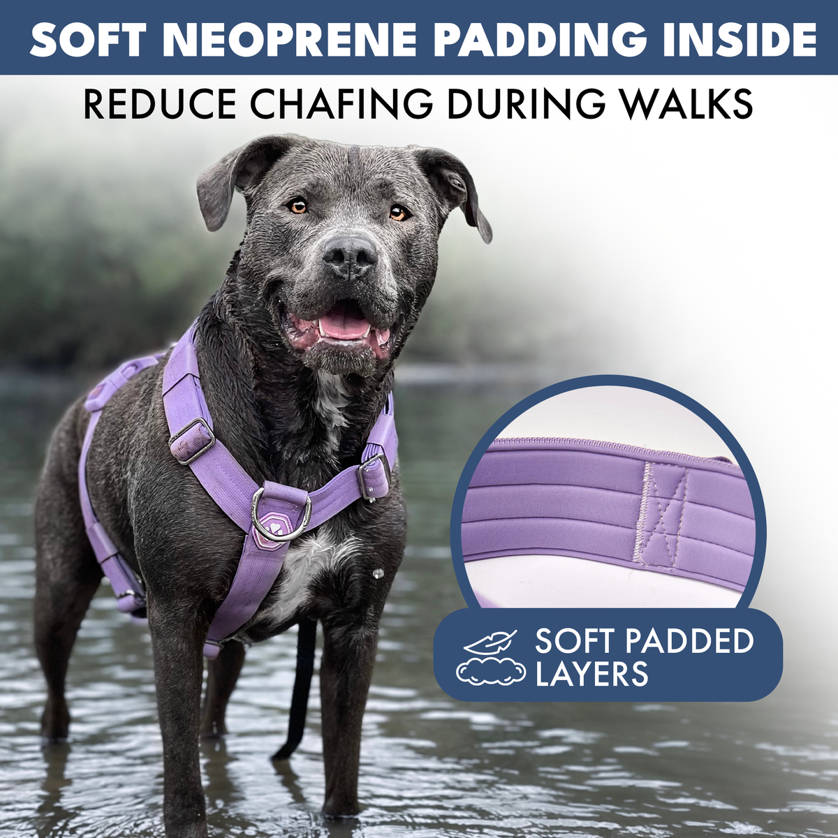 Comfort Control™ No-Pull Dog Harness - Lilac – SPARK PAWS
