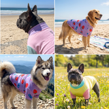 Gelato Yuzu Berries||size:S,M,L,XL,2XL,3XL,4XL,5XL