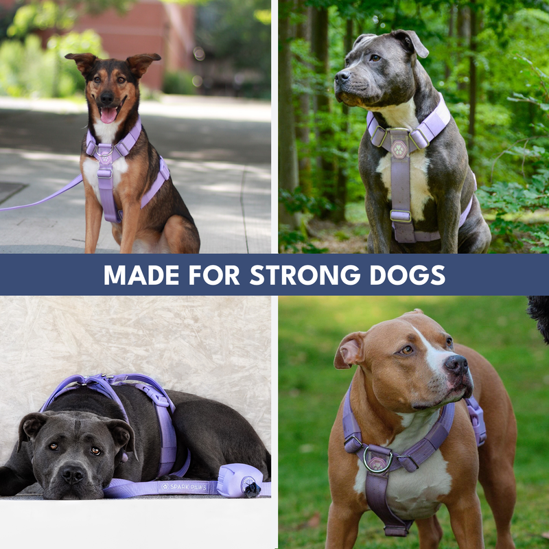 Comfort Control™ No-Pull Dog Harness - Lilac – SPARK PAWS