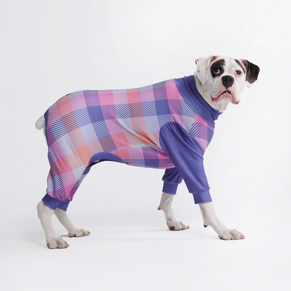 Dog Pajama - Purple Plaid