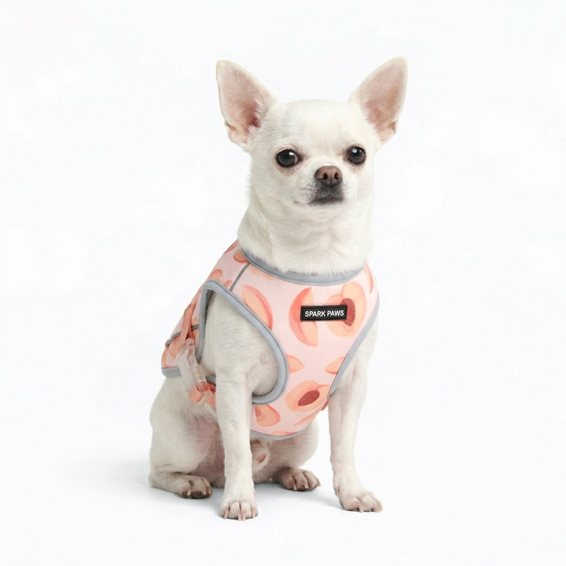 Dog Cooling Vest - Peaches – SPARK PAWS