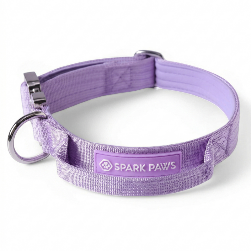 Comfort Control Collar - Lilac – SPARK PAWS