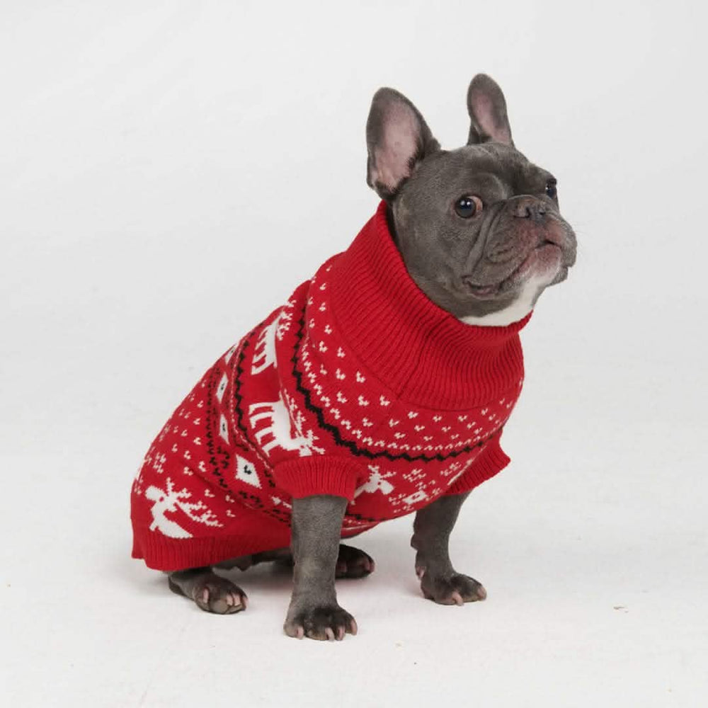 Knit Christmas Dog Sweater - Dasher Red – SPARK PAWS