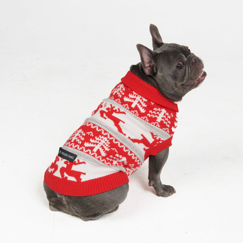 Winter Christmas Wonderland Knit Dog Sweater
