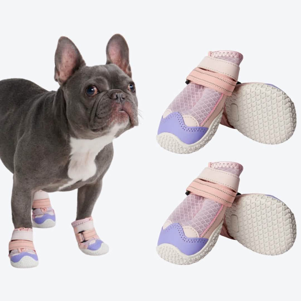 Hot Pavement Pawtector Dog Shoes Pink Purple – SPARK PAWS