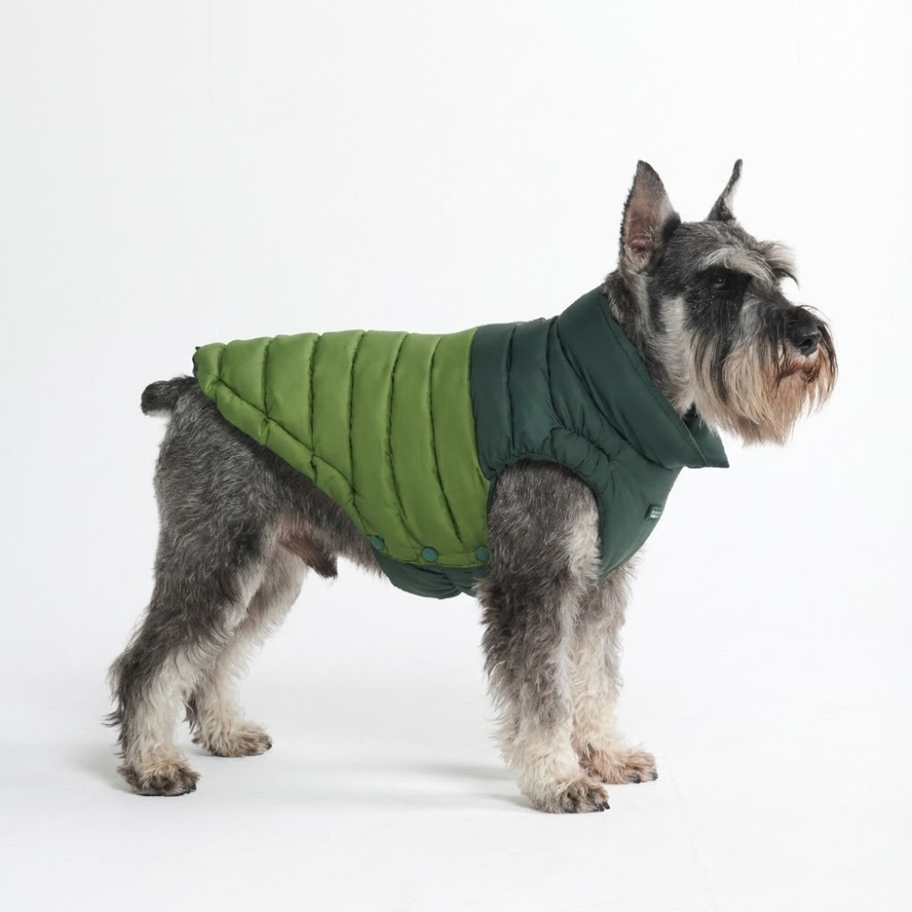 South african supermarket hi-res stock photography and images - Alamy, image size:1000x1000