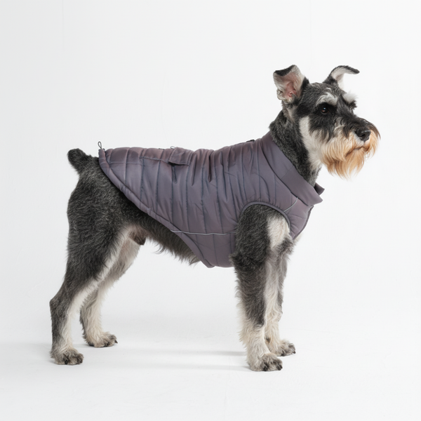 Winter Jacket Coats for Dogs