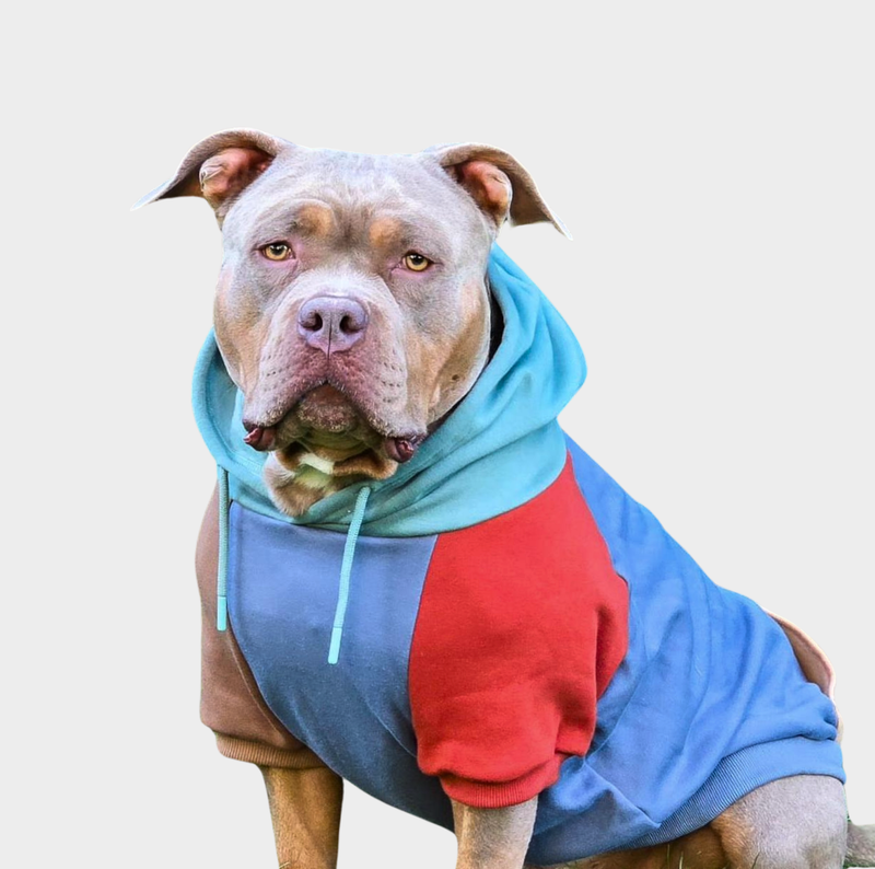 Dog Hoodies Large Dog Clothes For Pitbulls Spark Paws Dog Hoodie