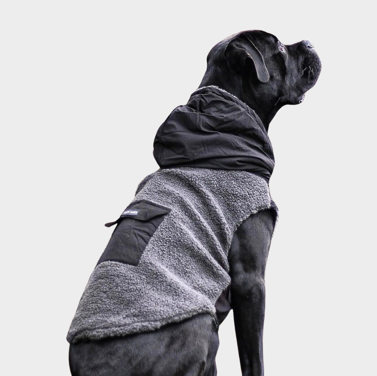 Reversible Dog Jacket - Grey and Black – SPARK PAWS