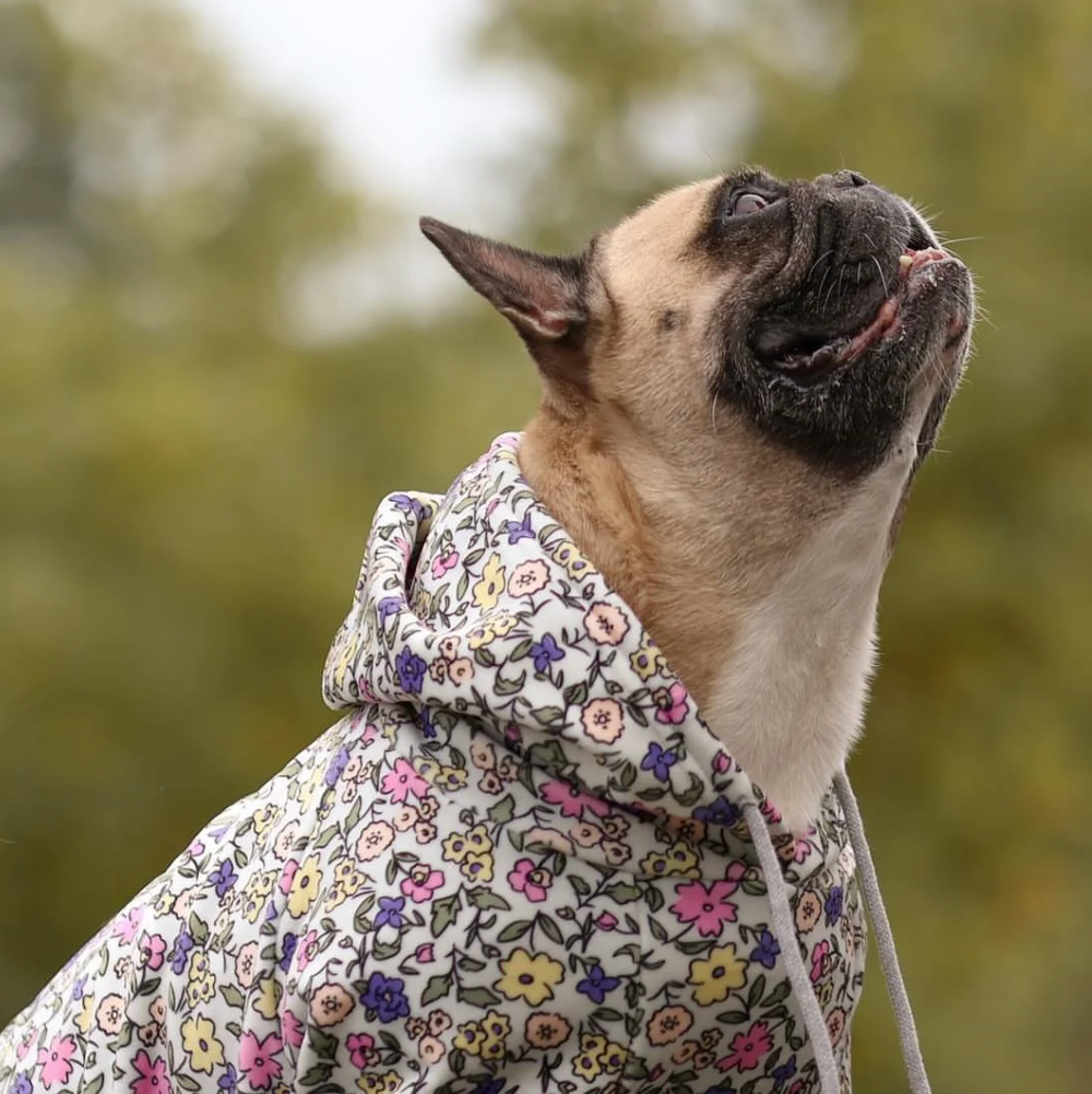 Vintage Flower Dog Hoodie - Light Grey – SPARK PAWS