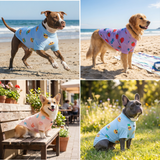 Seashell Berries Pineapple||size:S,M,L,XL,2XL,3XL,4XL,5XL
