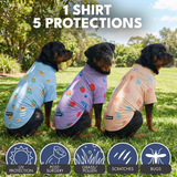 Seashell Berries Pineapple||size:S,M,L,XL,2XL,3XL,4XL,5XL
