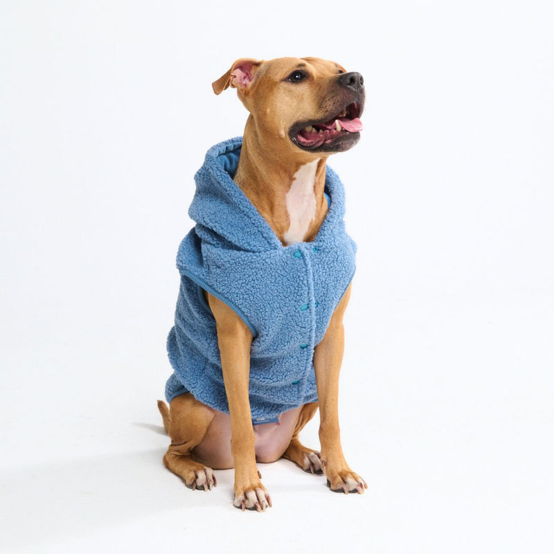 Teddy Sherpa Dog Sweater - Blue