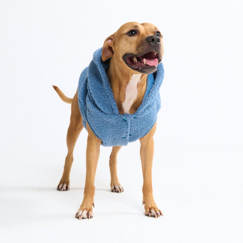 Teddy Sherpa Dog Sweater - Blue