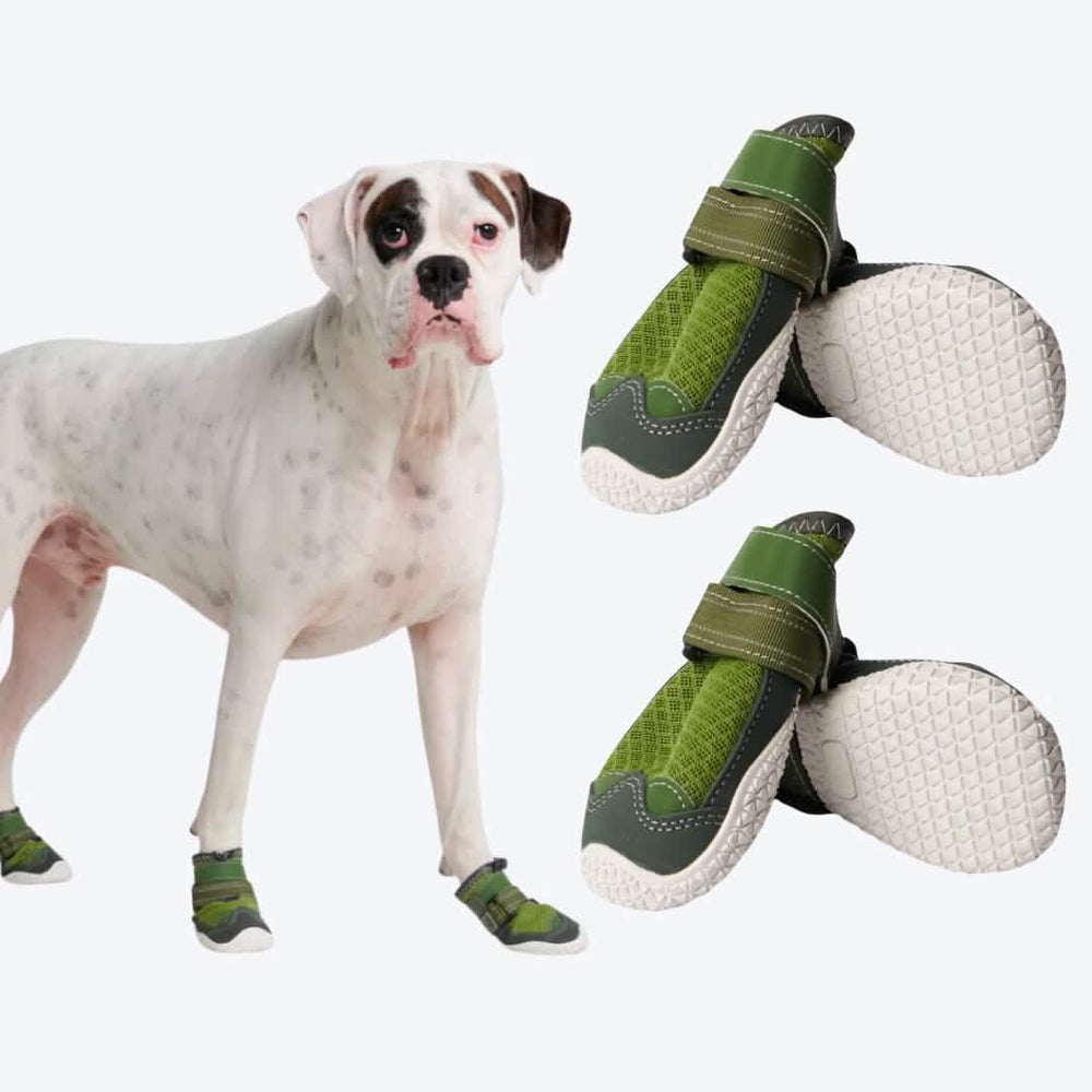 Hot Pavement Pawtector Dog Shoes Green – SPARK PAWS