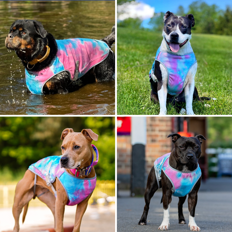 Chilltech™ Dog Cooling Vests – SPARK PAWS