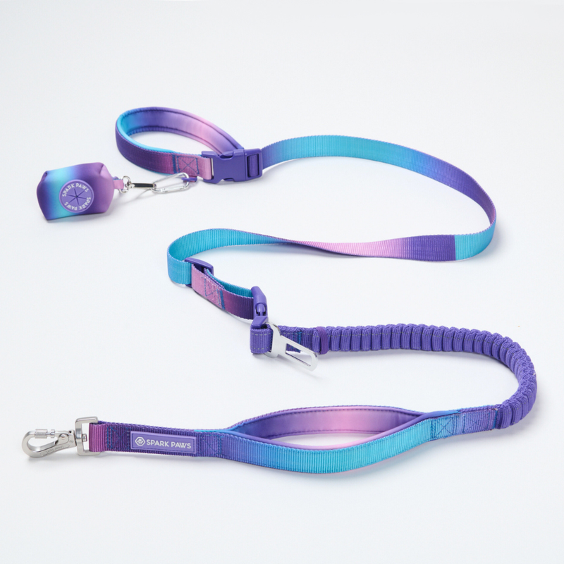 Ginseng's Multipurpose Seatbelt Handsfree Leash & Poop Bag Holder Set - 90s Retro