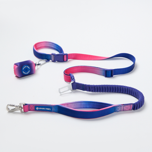 Multipurpose Seatbelt Handsfree Leash & Poop Bag Holder Set - Snow Cone